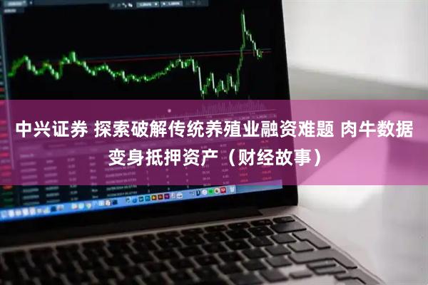 中兴证券 探索破解传统养殖业融资难题 肉牛数据变身抵押资产（财经故事）