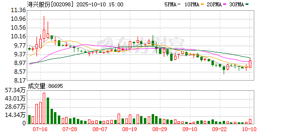 玖富配资 浔兴股份：2024年净利润同比增长67.37% 拟10派1元